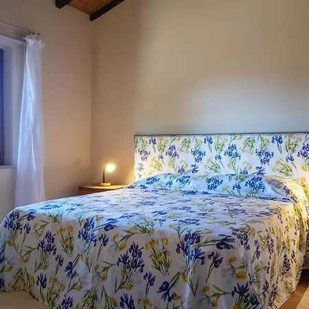 Pineta Toscana Vacanze Lavaiano