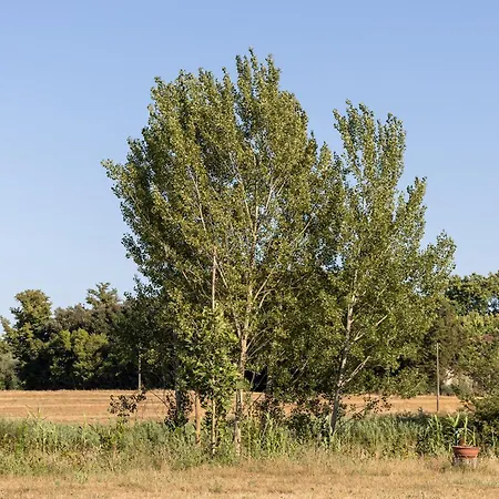 Apartamento Pineta Toscana Vacanze